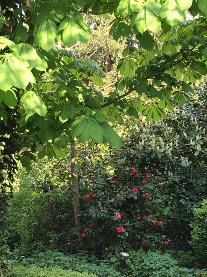 Saarlouis Innenstadt Im Gruenen Kültér fotó