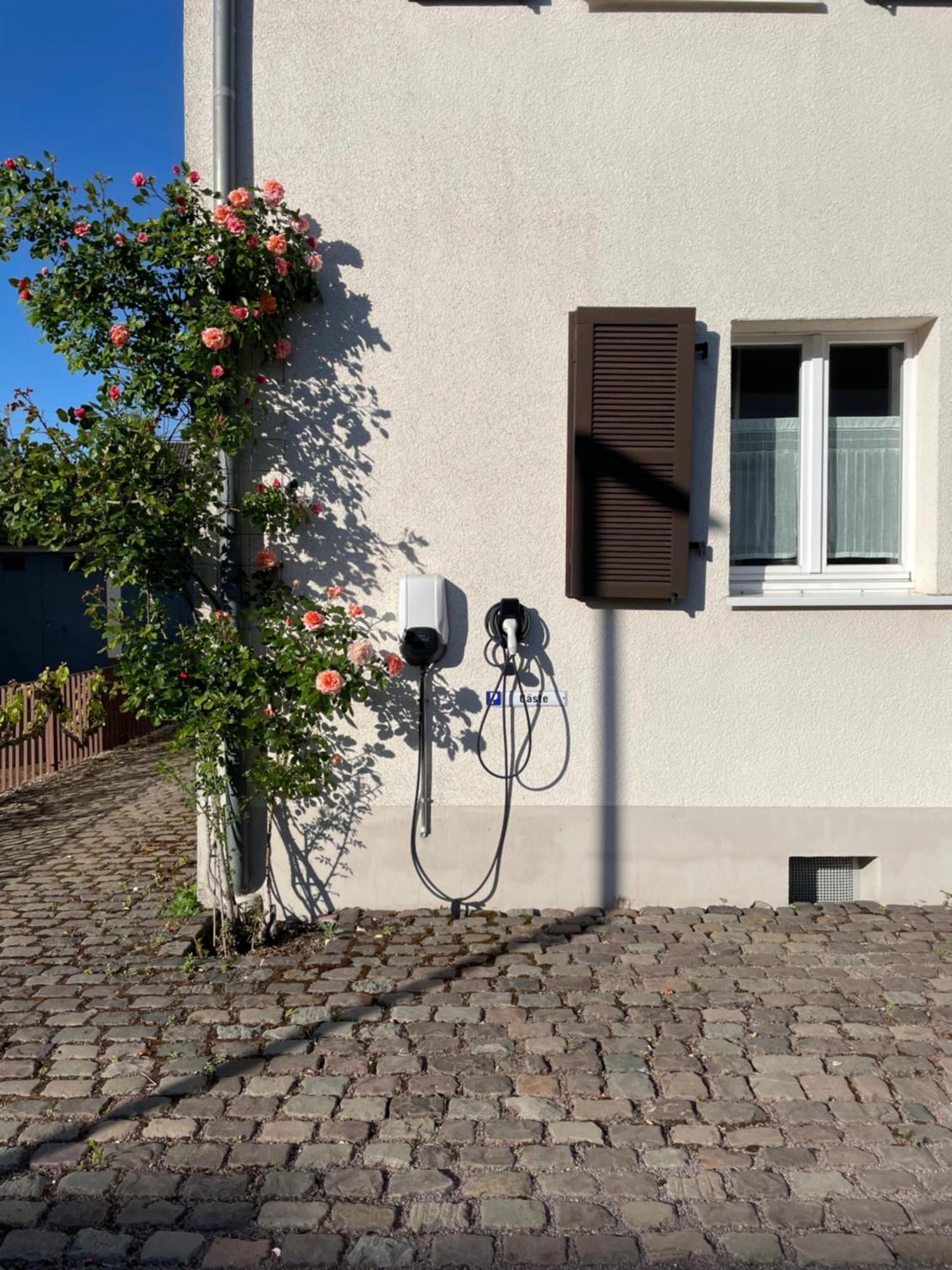Saarlouis Innenstadt Im Gruenen Kültér fotó